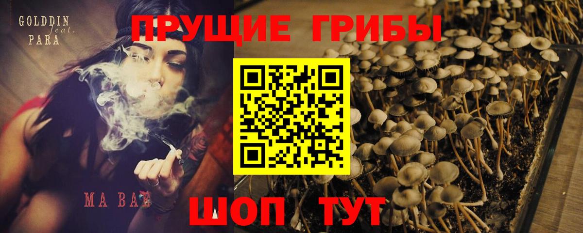Псилоцибиновые грибы прущие грибы Дагестанские Огни